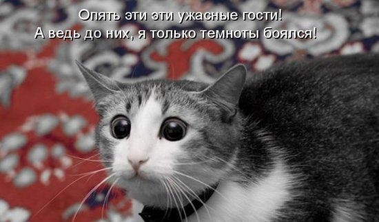 gulyat - Как почувствовать себя мужиком